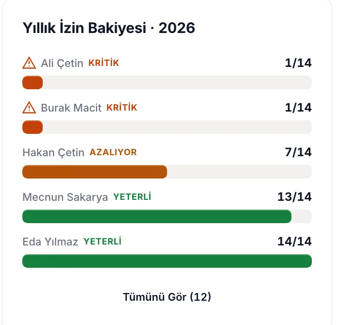 Yıllık izin bakiyesi kartı: kritik, azalıyor ve yeterli durumundaki çalışanlar